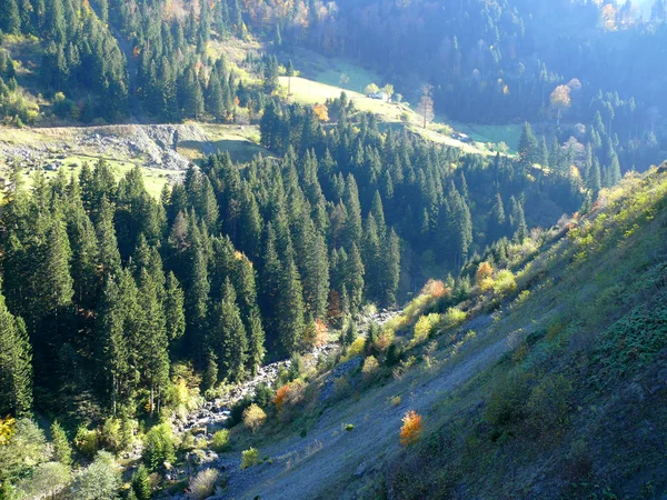 Natura del paesaggio. — Foto Stock