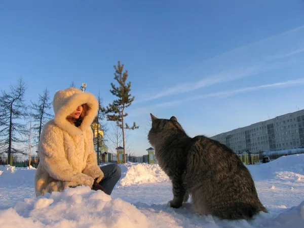 Ein Mädchen und eine Katze stehen einander gegenüber. — Stockfoto