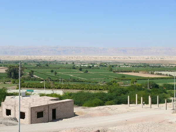 Ürdün. Tarım. — Stok fotoğraf