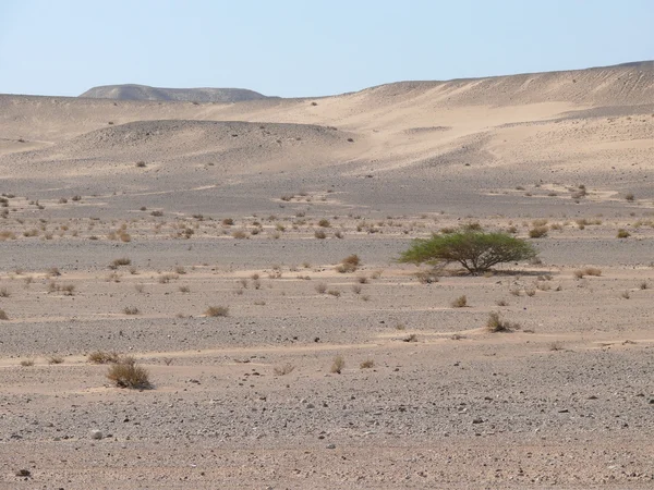 Jordanien. Wüste. — Stockfoto