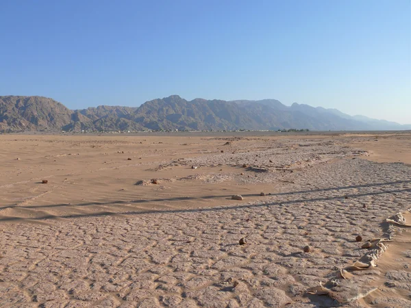 Jordan. Deserto . — Fotografia de Stock