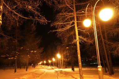 Yeni yıl - nadym, Rusya Federasyonu - 28 Şubat 2013 yılında bir tatil. Winter park.