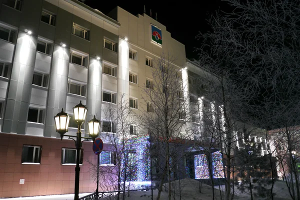 Nadym, Federacja Rosyjska - 25 lutego 2013: nowy rok - święto w nadym, Federacja Rosyjska - 25 lutego 2013 roku. świąteczne dekoracje uliczne. pięknie oświetlony budynek i drzew. dalekiej północy, nadym. — Zdjęcie stockowe