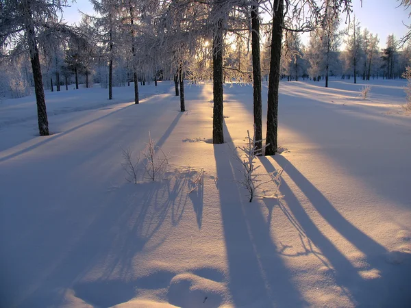 Kış manzarası doğa. — Stok fotoğraf
