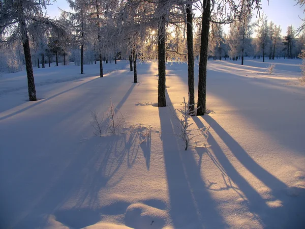 Winterlandschaft der Natur. — Stockfoto