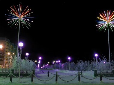 gece şehir parkında. mimari yapılar. Yılbaşı süsleri.