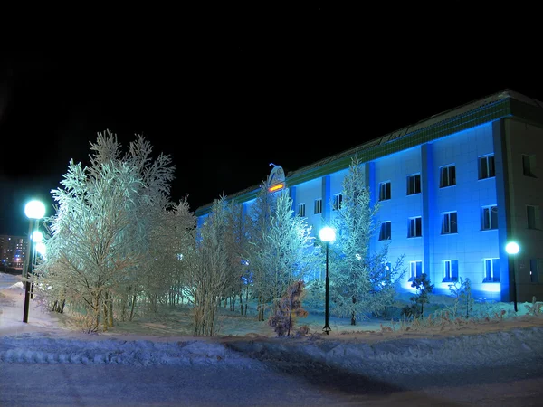 Residentieel gebouw close-up. bomen in de sneeuw. — Stockfoto