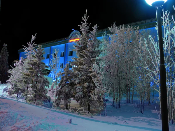 Primer plano del edificio residencial. Árboles en la nieve . — Foto de Stock