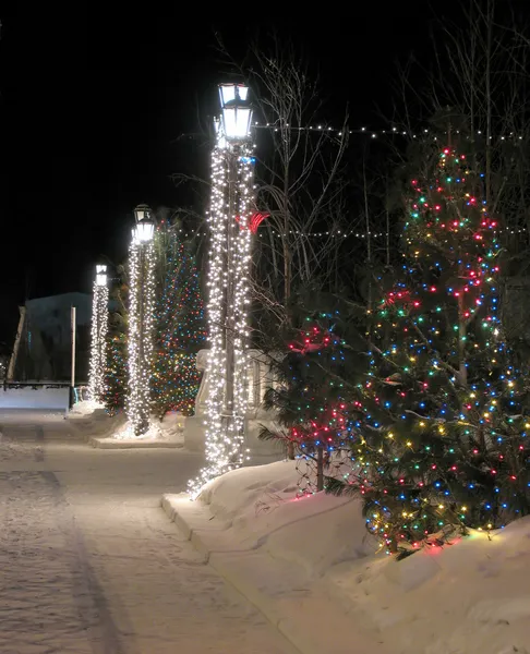 Yeni yıl. giyinik Noel ağacı sokakta kapatın. Yılbaşı süsleri. — Stok fotoğraf