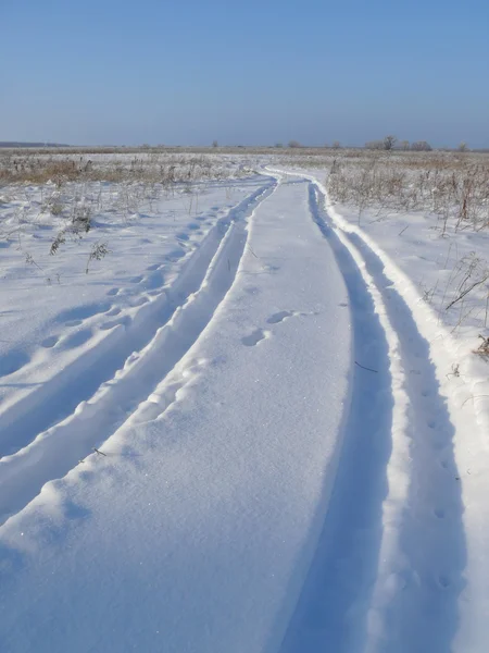 Estepes de Inverno . — Fotografia de Stock