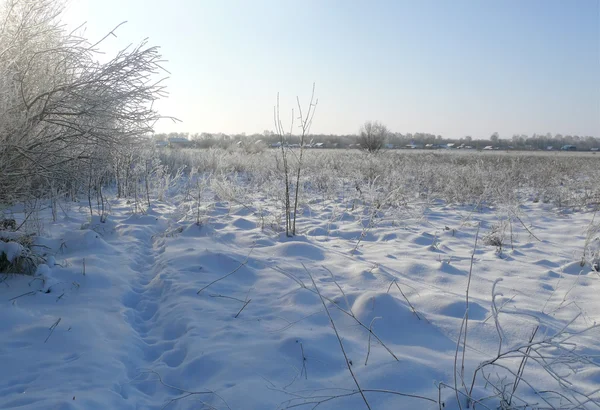 Зимняя степь . — стоковое фото