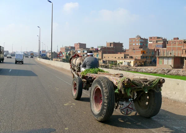 An unknown man riding in a carriage horse in Cairo, Egypt - November 9, 2008. Road in the city, the movement of vehicles. Architectural structures. — Stock Photo, Image