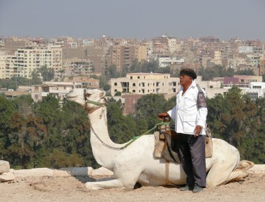 Giza şehri yukarıdan. kenti, kentsel mimari yapısı. Mısır bilinmeyen erkek deve portre yalan tasmasını tutan.