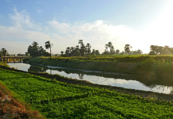 Afrika, Egypten. Vandingskanalen nær Luxor . - Stock-foto