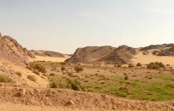 ¡África! El desierto del Sahara. Naturaleza del paisaje salvaje . —  Fotos de Stock