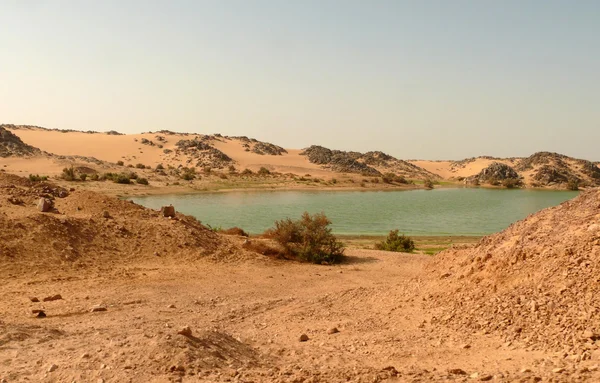 Afrika. sahara çöl akan Nil.