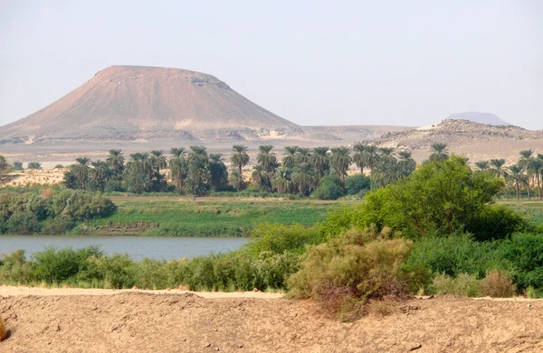 Afrika. sahara çöl akan Nil.