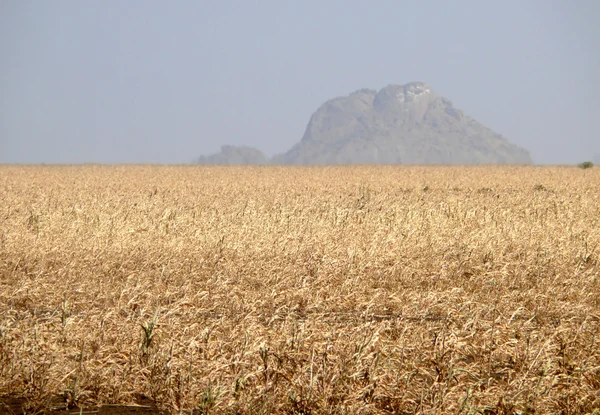 Sudan sud-occidentale. Montagne . — Foto Stock