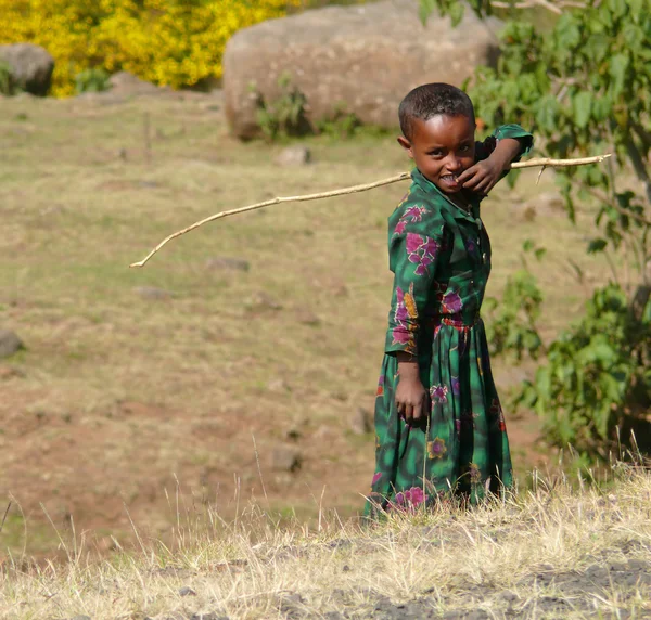 JIGA, ETIOPÍA - 24 de noviembre de 2008: Campo con flores amarillas en Jiga, Etiopía - 24 de noviembre de 2008. Extraño niño africano sonriente - una niña sosteniendo un palo en su mano . — Foto de Stock