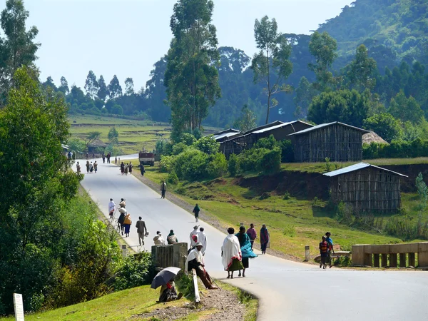 FINOTE SILAM, ETHIOPIA - NOVEMBER 24, 2008: Village, residential — Stock Photo, Image