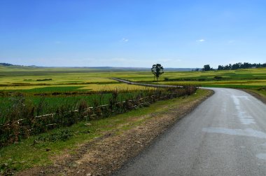 Yalnız yol closeup Afrika, Etiyopya.