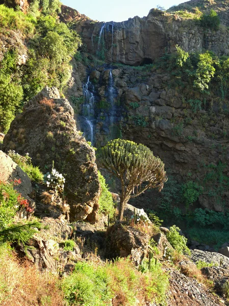 Водопад в горах близко. Африка, Эфиопия . — стоковое фото