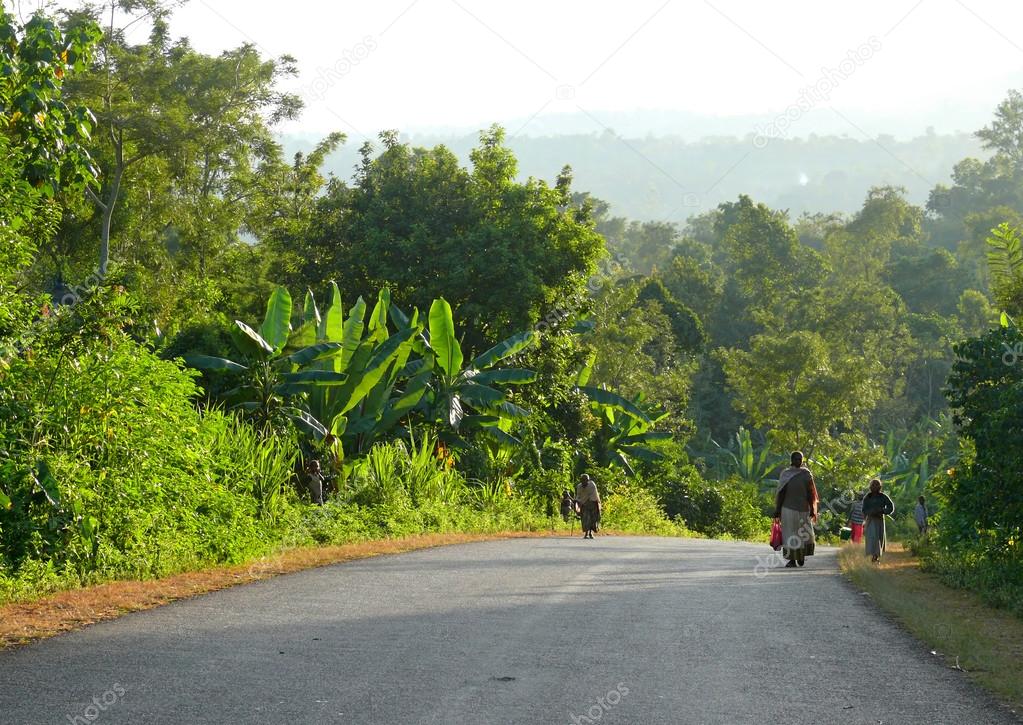MEGA, ETHIOPIA - NOVEMBER 25, 2008: Equatorial jungle. Road closeup jungle around. Unfamiliar villagers go on the way home.