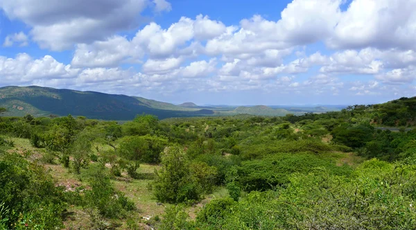 Valley. Montanhas florestadas à distância. Natureza paisagística. África, Etiópia . — Fotografia de Stock