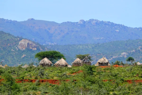 Casas etíopes no fundo da natureza. Natureza paisagística . — Fotografia de Stock