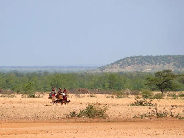 MARSABIT, ETIÓPIA - 28 DE NOVEMBRO DE 2008: Uma mulher desconhecida da tribo Tsonga vai com jarros de água. Perto de cães correm. À frente da montanha. À volta das árvores . — Fotografia de Stock