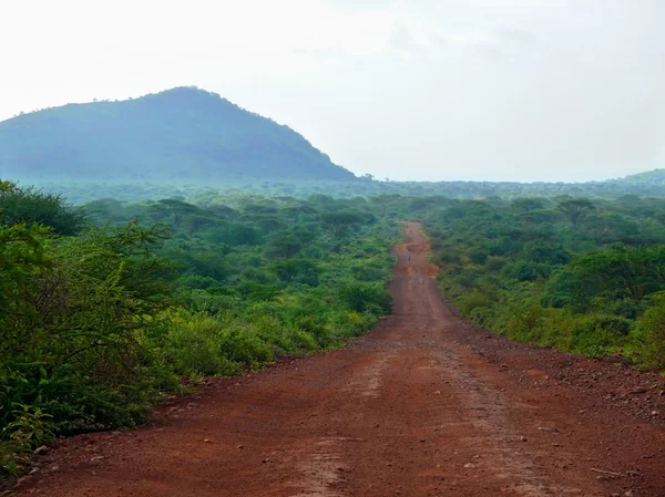The road to Marsabit. Jungle-covered mountains. Africa, Ethiopia — Stock Photo, Image