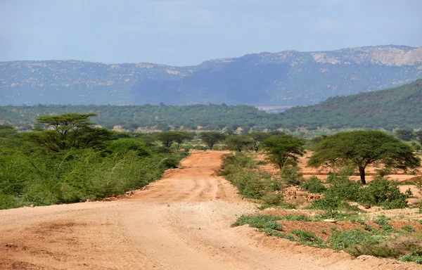 Djungel berg. Afrika, Etiopien. landskap natur. — Stockfoto