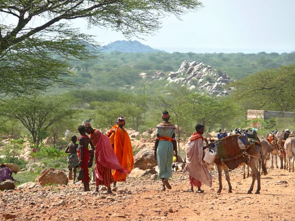 ISIOLO, KENYA - NOVEMBER 28, 2008: Strange women of the tribe Tsonga carry water in bottles on donkeys. Donkeys laden with baggage. Landscape of mountains in the background. — Stock Photo, Image