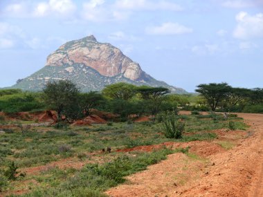 dağlar. doğa manzara. bitkiler ve ağaçlar. Afrika, kenya.