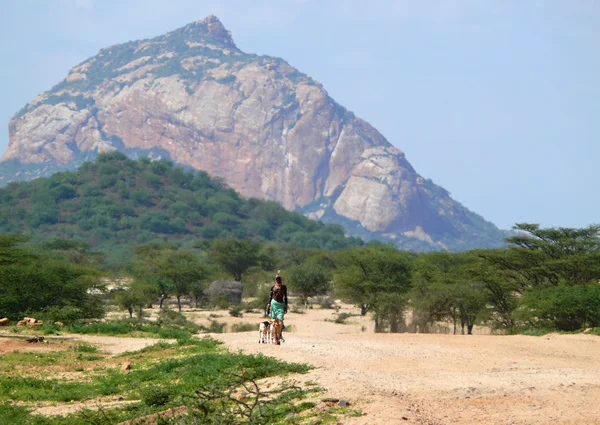 ISIOLO, KENIA - 28 DE NOVIEMBRE DE 2008: Un extraño hombre de la tribu Tsonga vestido de gala nacional va de gira con un perro. Montañas al fondo. Alrededor de las plantas y árboles . —  Fotos de Stock