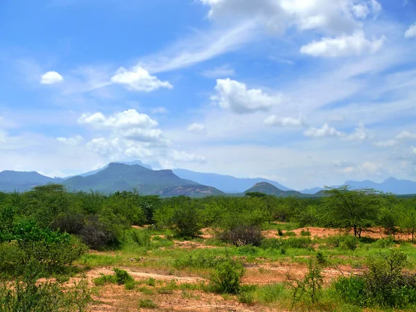 Bergen. Landskaps natur. Afrika, Kenya. — Stockfoto