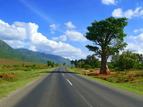 Resa till Afrika, tanzania. vägen. liggande landskapet runt — Stockfoto