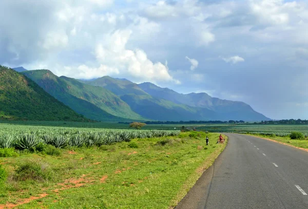 MÊME, TANZANIE - 30 NOVEMBRE 2008 : Les Africains inconnus sont sur la th — Photo