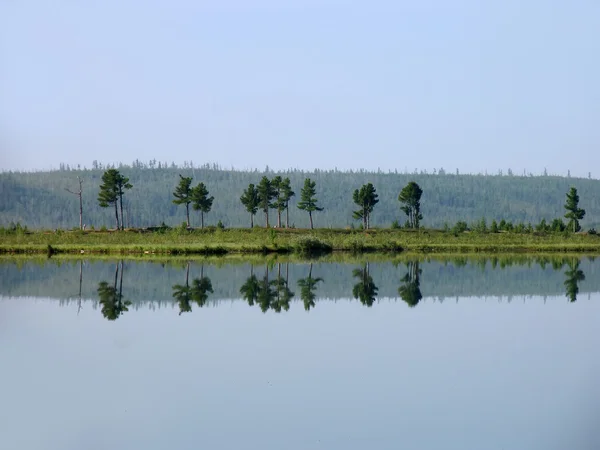 Naturaleza paisajística. Primer plano del río en el fondo del bosque . Imágenes de stock libres de derechos