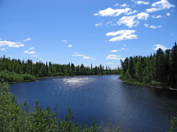 Landscape nature. The river on a background of cedar forests. — Stock Photo, Image