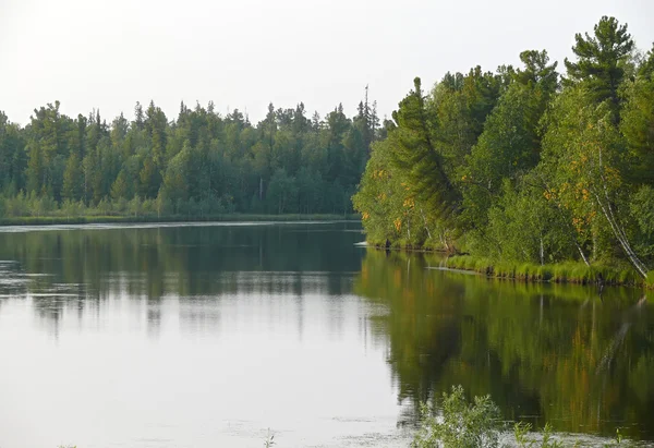 A táj az északi természettel. A folyó Nadym erdő. — Stock Fotó