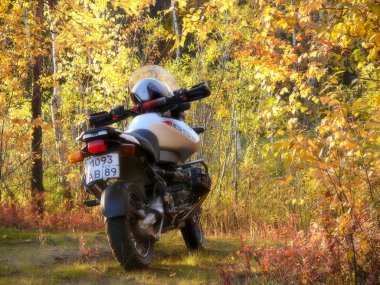 Nadym, Rusya Federasyonu - 19 Eylül 2007: Sonbahar orman. İnci Bisiklet