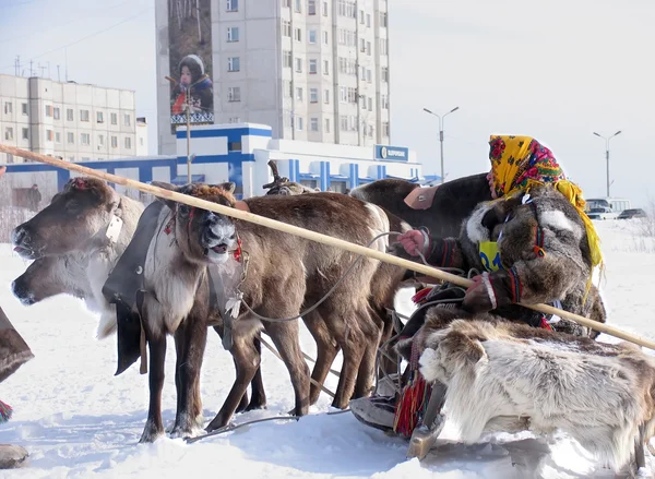 2006 年 3 月 18 日俄罗斯-涅： 赛车上鹿的假期 — 图库照片