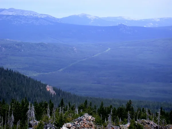 Росія, Alanga. Краєвид природи. Лісів і гір. — стокове фото