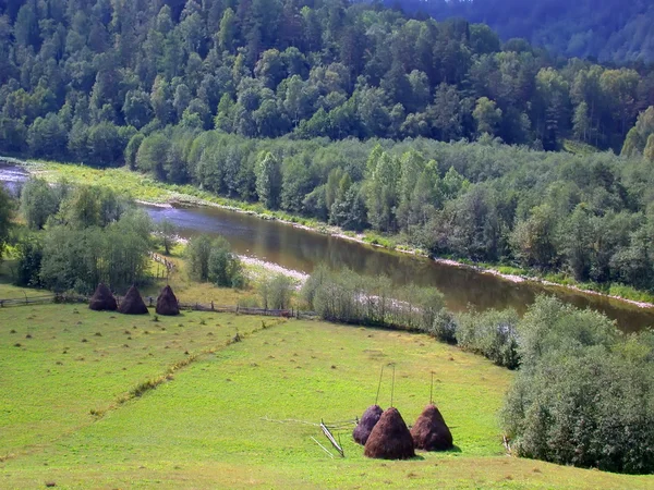 Oroszország, Alanga. A táj jellegét. Erdő és a hegyek. A foly — Stock Fotó