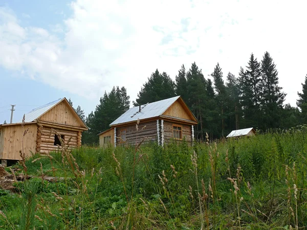 러시아, Alanga입니다. 자연 풍경. 숲에서 마입니다. 하우스 — 스톡 사진