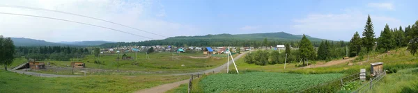 Panorama. Rusia, Alanga. Peisaj natural. Pădure de conifere. T — Fotografie, imagine de stoc