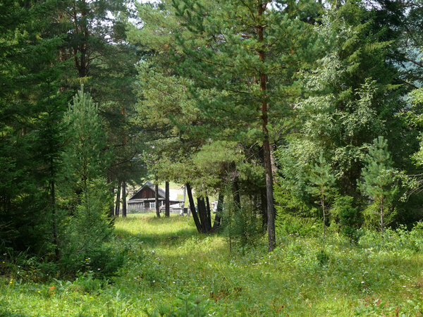 Russia, Alanga. Landscape nature. Coniferous forest. The village