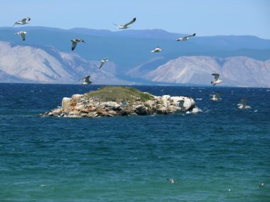 Baykal doğası. Deniz Baykal ve güzel bir gökyüzü. bir sürü o