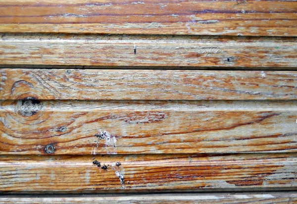 Wood surface — Stock Photo, Image